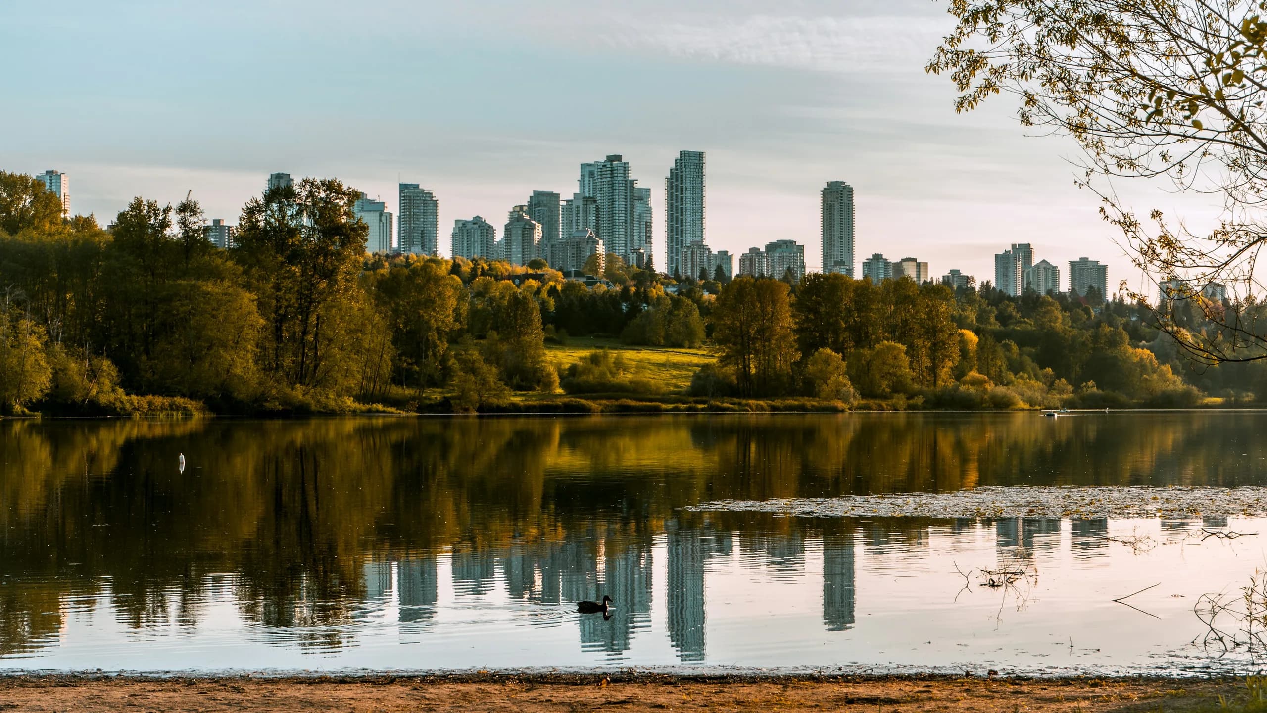 Residential and commercial construction in Burnaby, BC