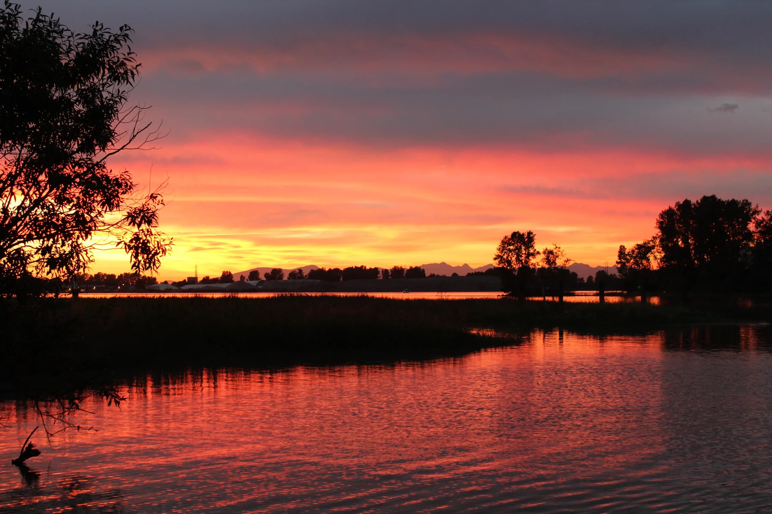 Residential and commercial construction in Delta, BC