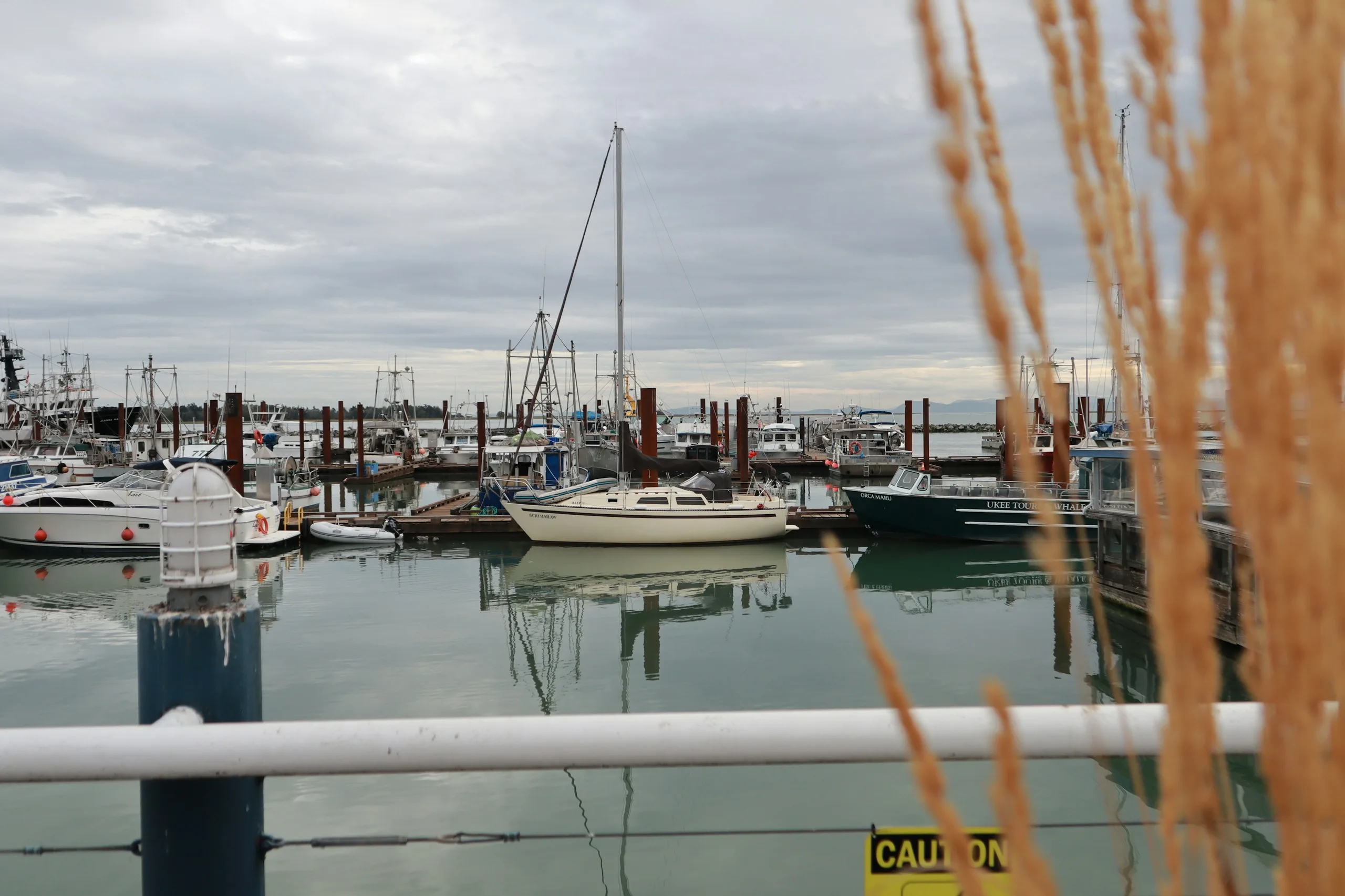 Residential and commercial construction in Richmond, BC
