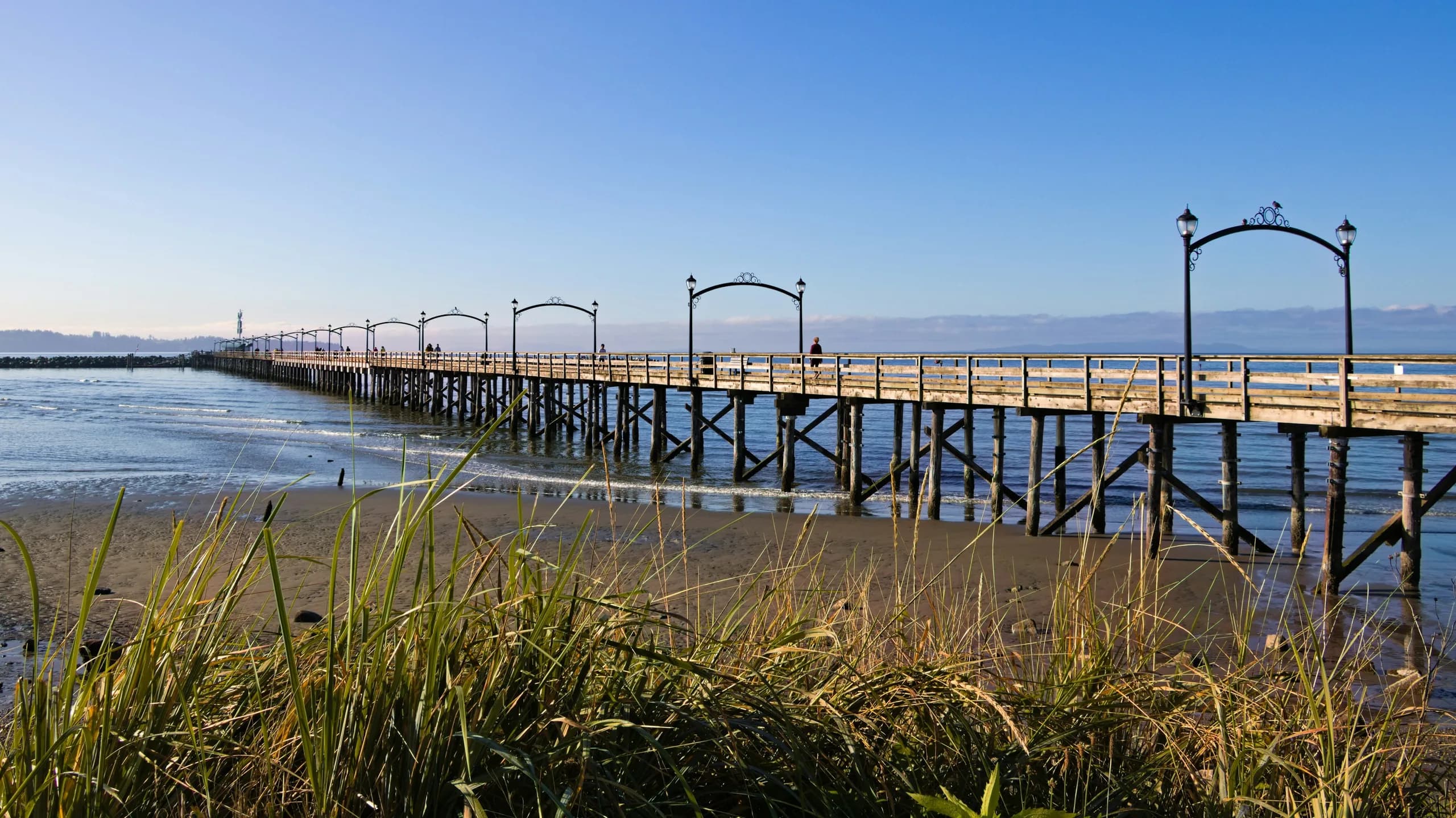 Residential and commercial construction in White Rock, BC