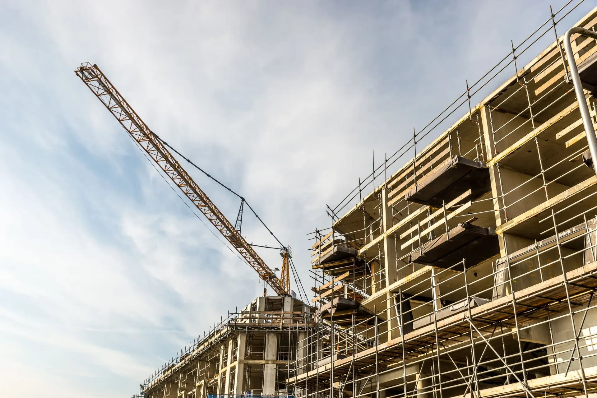 Commercial building structure in BC by Pro Construction Group