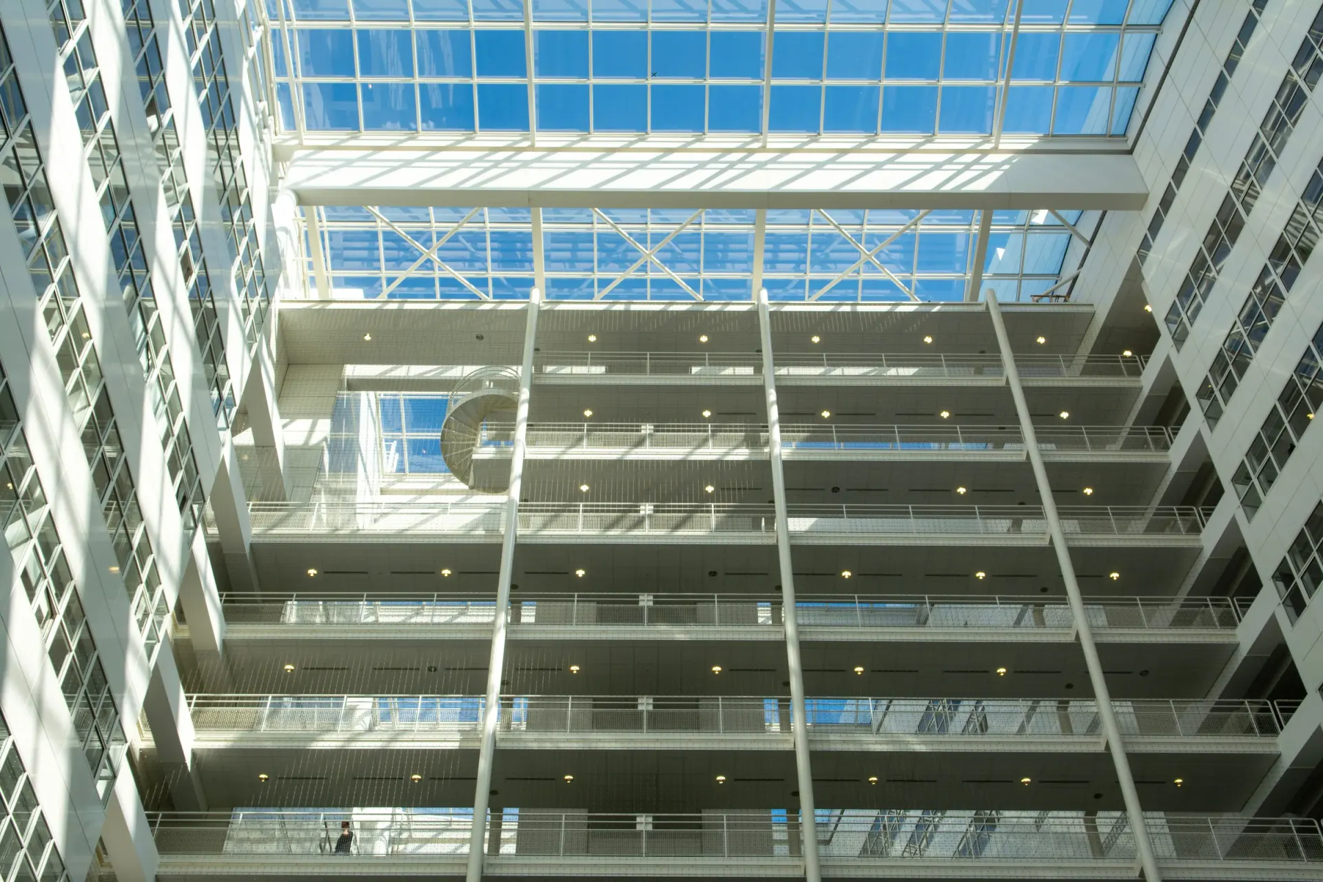 Commercial interior build-out in BC by Pro Construction Group